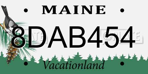 8DAB454 Maine License Plate