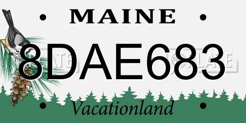 8DAE683 Maine License Plate