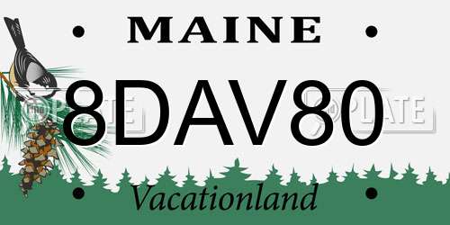 8DAV80 Maine License Plate