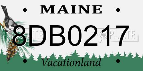 8DB0217 Maine License Plate