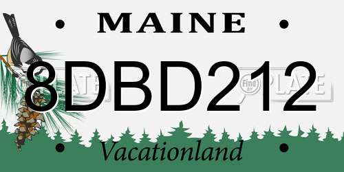 8DBD212 Maine License Plate