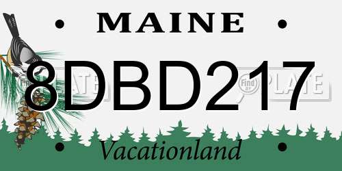 8DBD217 Maine License Plate