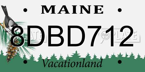 8DBD712 Maine License Plate