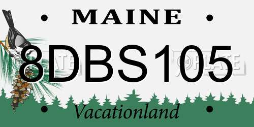 8DBS105 Maine License Plate
