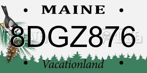 8DGZ876 Maine License Plate