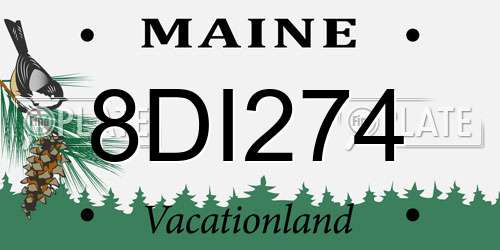 8DI274 Maine License Plate