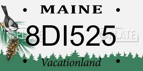 8DI525 Maine License Plate
