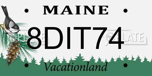 8DIT74 Maine License Plate