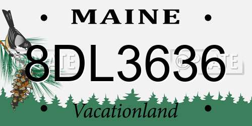8DL3636 Maine License Plate