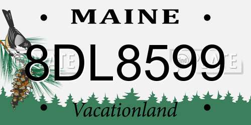 8DL8599 Maine License Plate