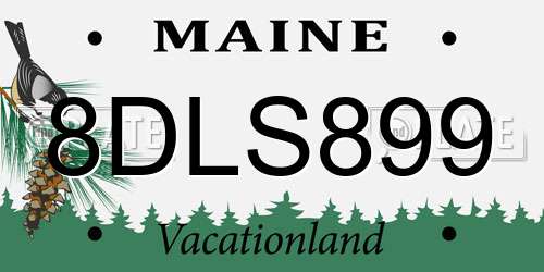 8DLS899 Maine License Plate