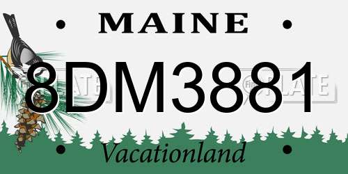 8DM3881 Maine License Plate