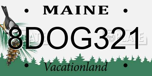 8DOG321 Maine License Plate