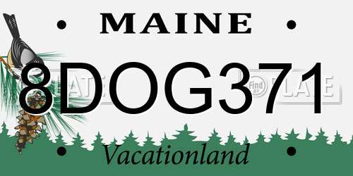 8DOG371 Maine License Plate
