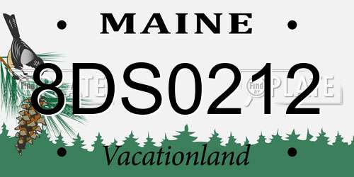 8DS0212 Maine License Plate