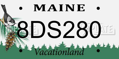 8DS280 Maine License Plate