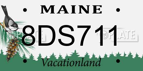 8DS711 Maine License Plate