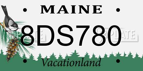 8DS780 Maine License Plate
