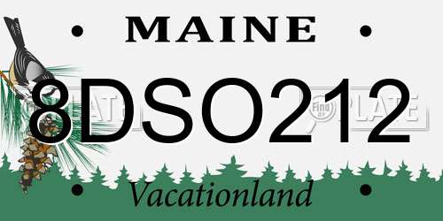 8DSO212 Maine License Plate