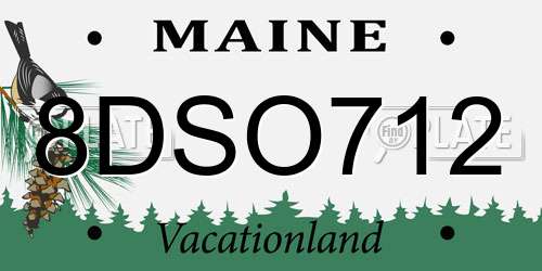 8DSO712 Maine License Plate