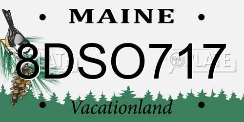8DSO717 Maine License Plate