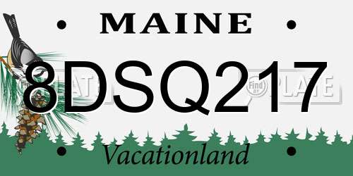 8DSQ217 Maine License Plate