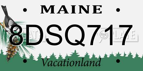 8DSQ717 Maine License Plate