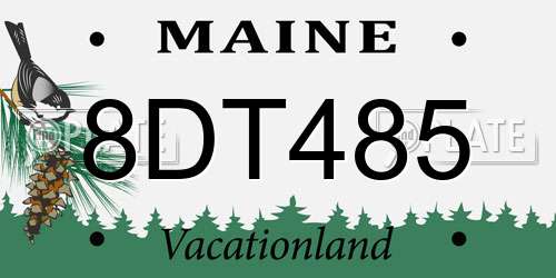 8DT485 Maine License Plate