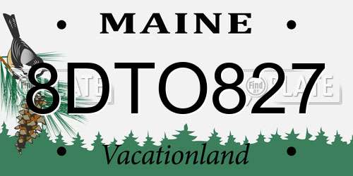 8DTO827 Maine License Plate
