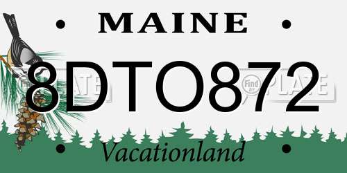 8DTO872 Maine License Plate