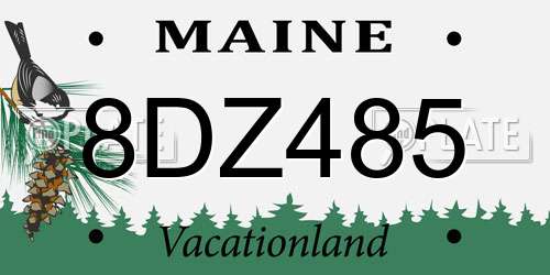 8DZ485 Maine License Plate