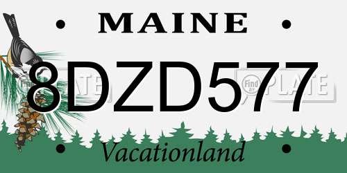 8DZD577 Maine License Plate