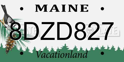 8DZD827 Maine License Plate