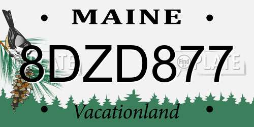 8DZD877 Maine License Plate