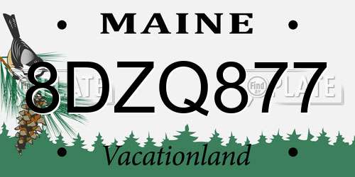 8DZQ877 Maine License Plate