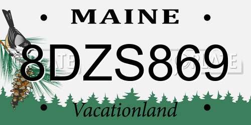 8DZS869 Maine License Plate