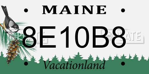 8E10B8 Maine License Plate