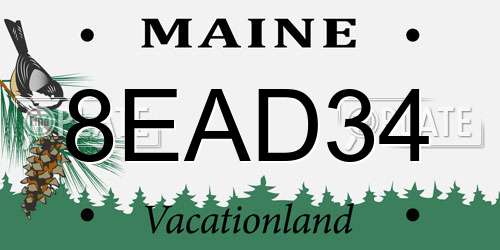 8EAD34 Maine License Plate