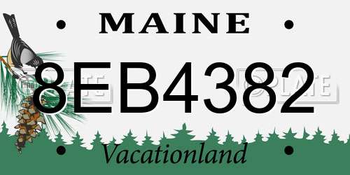 8EB4382 Maine License Plate