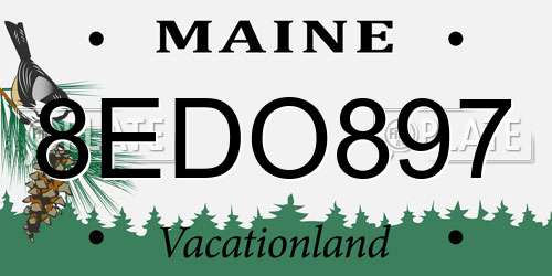 8EDO897 Maine License Plate