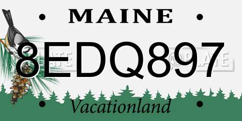 8EDQ897 Maine License Plate
