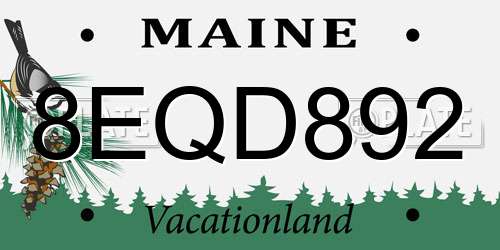 8EQD892 Maine License Plate