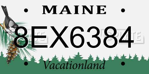 8EX6384 Maine License Plate