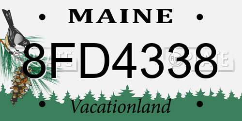 8FD4338 Maine License Plate