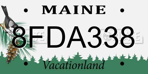 8FDA338 Maine License Plate