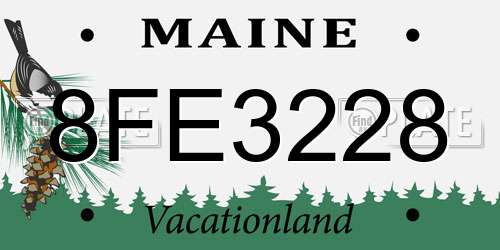 8FE3228 Maine License Plate