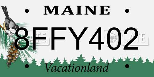 8FFY402 Maine License Plate