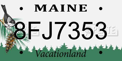 8FJ7353 Maine License Plate