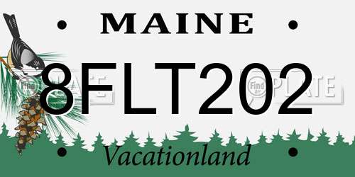 8FLT202 Maine License Plate