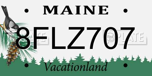 8FLZ707 Maine License Plate